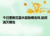 今日更新花露水能除螨虫吗,如何消灭螨虫