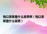 物以类聚是什么意思啊（物以类聚是什么意思）