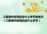 三衢道中描写的是什么季节的地方（三衢道中描写的是什么季节）