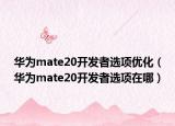 华为mate20开发者选项优化（华为mate20开发者选项在哪）
