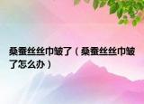 桑蚕丝丝巾皱了（桑蚕丝丝巾皱了怎么办）