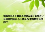 病毒网站不下载是不是就没事（如果进了有病毒的网站,不下载东西,中毒是什么样的?）