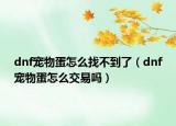 dnf宠物蛋怎么找不到了（dnf宠物蛋怎么交易吗）