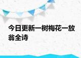 今日更新一树梅花一放翁全诗