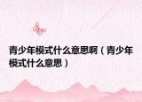 青少年模式什么意思啊（青少年模式什么意思）
