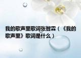 我的歌声里歌词张智霖（《我的歌声里》歌词是什么）