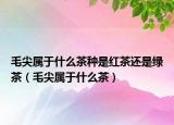 毛尖属于什么茶种是红茶还是绿茶（毛尖属于什么茶）