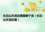 长白山天池在哪里哪个省（长白山天池在哪）