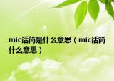 mic话筒是什么意思（mic话筒什么意思）