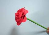 今日更新如何折纸玫瑰（手工折纸玫瑰 玫瑰花的折法步骤图解）