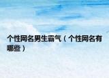 个性网名男生霸气（个性网名有哪些）