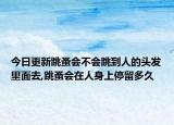 今日更新跳蚤会不会跳到人的头发里面去,跳蚤会在人身上停留多久