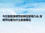 今日更新清明节的鲜花要用几朵,清明节扫墓为什么要用菊花