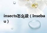 insects怎么读（Insebau）