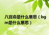 八宫命是什么意思（bgm是什么意思）