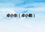 卓小东（卓小勤）