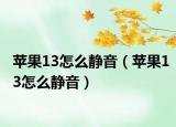 苹果13怎么静音（苹果13怎么静音）