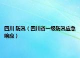 四川 防汛（四川省一级防汛应急响应）
