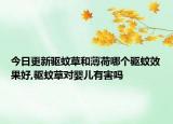 今日更新驱蚊草和薄荷哪个驱蚊效果好,驱蚊草对婴儿有害吗