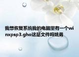 我想恢复系统我的电脑里有一个winxpsp3.gho这是文件吗姚勇