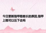 今日更新指甲翘着长的原因,指甲上翘可以压下去吗