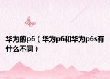 华为的p6（华为p6和华为p6s有什么不同）