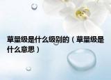 草量级是什么级别的（草量级是什么意思）