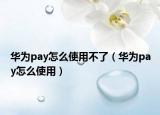 华为pay怎么使用不了（华为pay怎么使用）