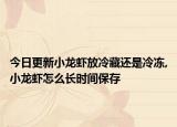 今日更新小龙虾放冷藏还是冷冻,小龙虾怎么长时间保存