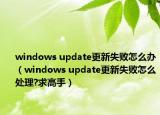 windows update更新失败怎么办（windows update更新失败怎么处理?求高手）