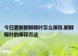 今日更新新鲜粽叶怎么保存,新鲜粽叶的保存方法