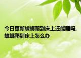 今日更新蟑螂爬到床上还能睡吗,蟑螂爬到床上怎么办