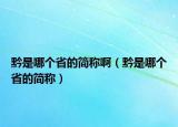 黔是哪个省的简称啊（黔是哪个省的简称）