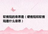 软着陆的意思是（硬着陆和软着陆是什么意思）