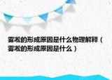 雾凇的形成原因是什么物理解释（雾凇的形成原因是什么）