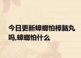 今日更新蟑螂怕樟脑丸吗,蟑螂怕什么