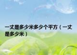 一丈是多少米多少个平方（一丈是多少米）