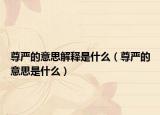 尊严的意思解释是什么（尊严的意思是什么）