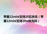 苹果12mini支持20瓦快充（苹果12mini支持20w快充吗）
