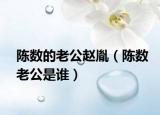 陈数的老公赵胤（陈数老公是谁）