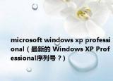 microsoft windows xp professional（最新的 Windows XP Professional序列号 ?）