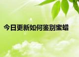 今日更新如何鉴别蜜蜡