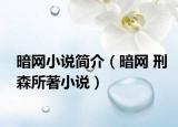 暗网小说简介（暗网 刑森所著小说）