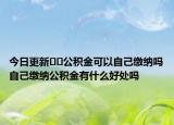 今日更新﻿﻿公积金可以自己缴纳吗自己缴纳公积金有什么好处吗