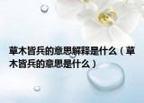 草木皆兵的意思解释是什么（草木皆兵的意思是什么）