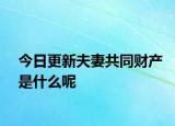 今日更新夫妻共同财产是什么呢