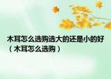 木耳怎么选购选大的还是小的好（木耳怎么选购）