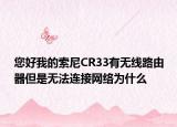 您好我的索尼CR33有无线路由器但是无法连接网络为什么