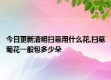 今日更新清明扫墓用什么花,扫墓菊花一般包多少朵