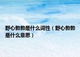 野心勃勃是什么词性（野心勃勃是什么意思）